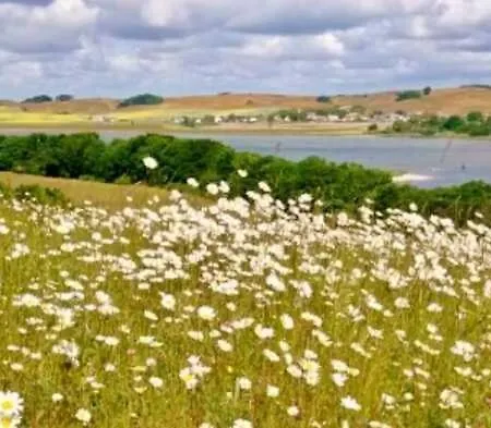 Apartmán Sonnige In Klein Zicker _ Nur *